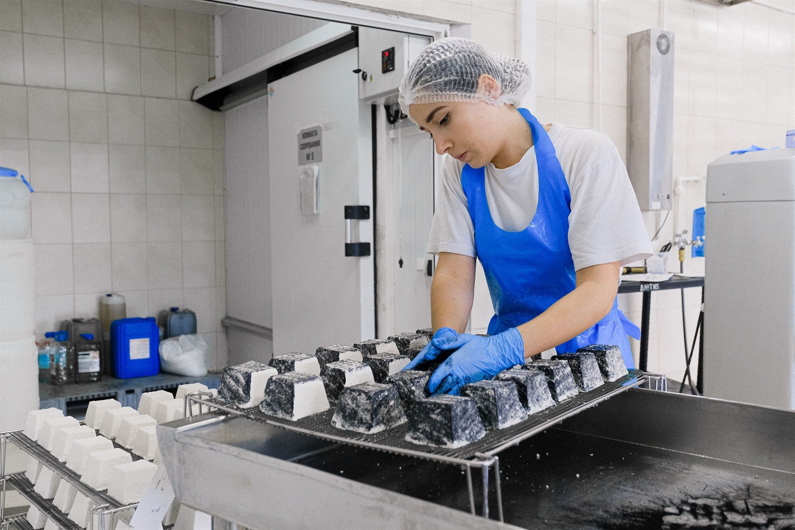 Worker preparing food products in a manufacturing facility